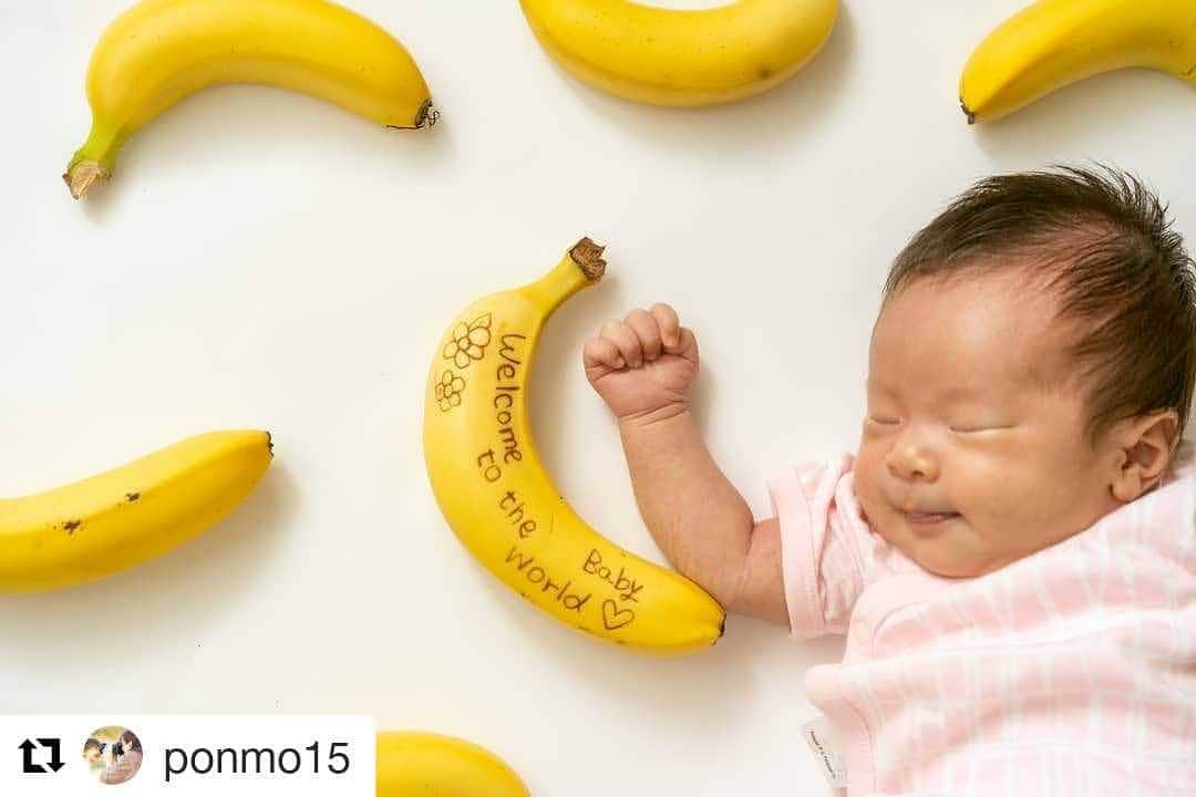 Dole_jp ドール ジャパンのインスタグラム：「たくさん食べて大きくなってね🤗 バナナはピクニックや運動会などのおやつにも最適🍌 . . #Repost @ponmo15 (@get_repost) ・・・ Dole Banana ドールバナナ×バナペン🍌  ぼうやも大好きバナナ！皮をむいてすぐ食べれるので持ち運びにも便利だし、栄養満点でしょっちゅう食べています。お菓子作りに使っても美味しいしジュースにしても美味しいし、万能のフルーツ🍌  まだ妹ちゃんは新生児でバナナが食べれるようになるのはまだまだ先だけど、絶対好きになってパクパク食べるはず！この世界にはこんなに美味しくて便利なものがあるんだよと早く教えてあげたいです✨  お兄ちゃんとして毎日頑張ってくれているぼうやから赤ちゃんへのメッセージ。バナペンはインクがお酢になっていて、書いて時間が経つと文字が出てくるんです。楽しい🍌！ ぼうやも妹ちゃんもバナナをたくさん食べて大きくなってね😊  ドールバナナスマイルキャンペーンアンバサダーに選ばれました！  @dole_jp #DoleBananaSmile #Dole #バナナ #朝食 #昼食 #おやつ  #新生児 #赤ちゃん #お昼寝アート #バナペン #stayhome #snapmart #アンバサダー #PR  #置き画 #置き画倶楽部 #物撮り #ブツ撮りが好き #photo #photography  #photooftheday #insta #instagood」