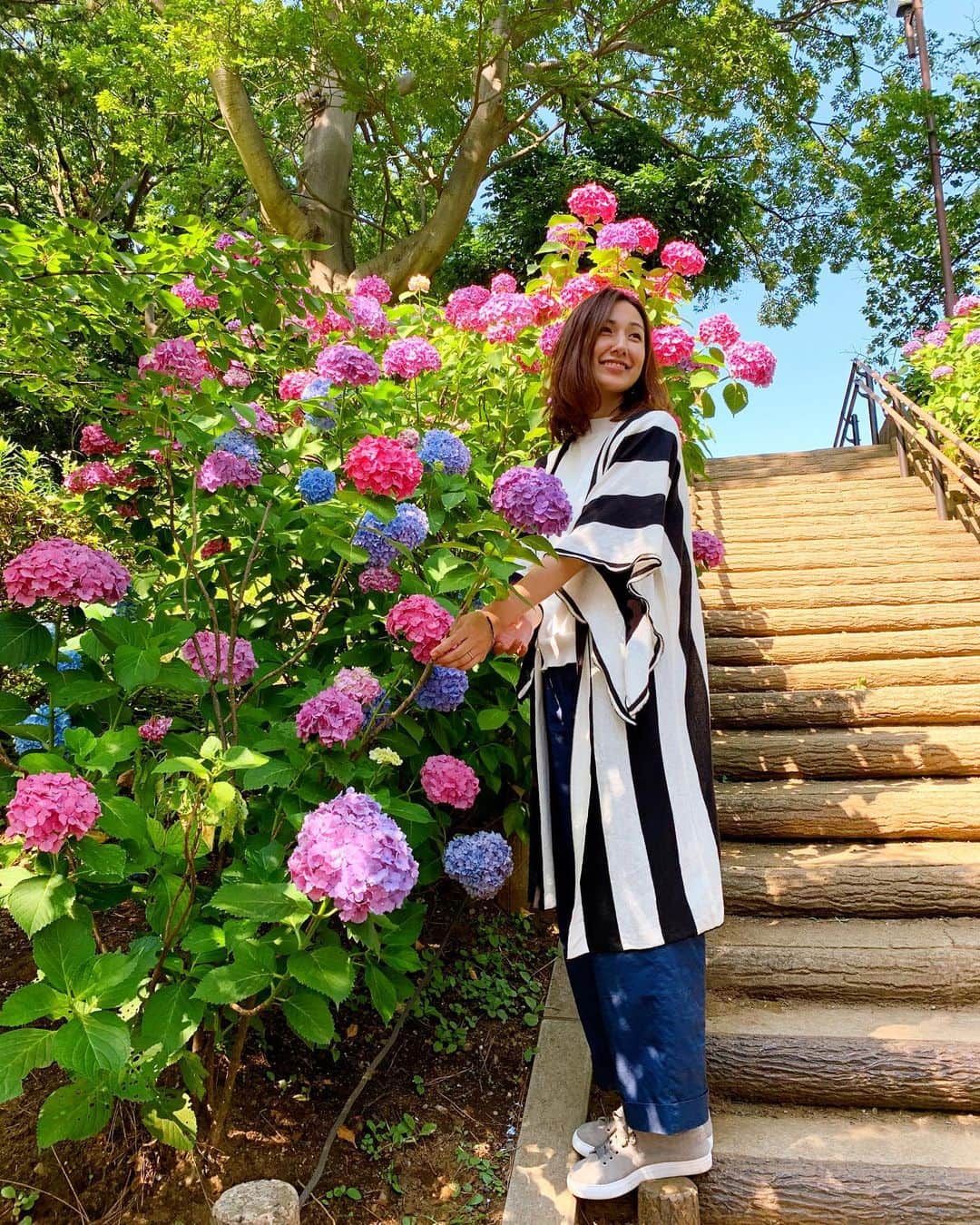 神谷美伽さんのインスタグラム写真 - (神谷美伽Instagram)「鎌倉にアジサイ見に行こうとしたけど、コロナ的に難しそうだったので都内をお散歩して来ました🐶写真撮り忘れたたけど、等々力渓谷でランチしてから多摩川台公園のアジサイ園へ♡ まだまだ知らないステキな場所が沢山あるんだなぁ。  #お散歩 #紫陽花 #アジサイ園 #多摩川台公園#古墳も沢山ある公園#６月#梅雨とは思えないいい天気 #flowers #お花のある暮らし」6月17日 19時14分 - mikakamiya14