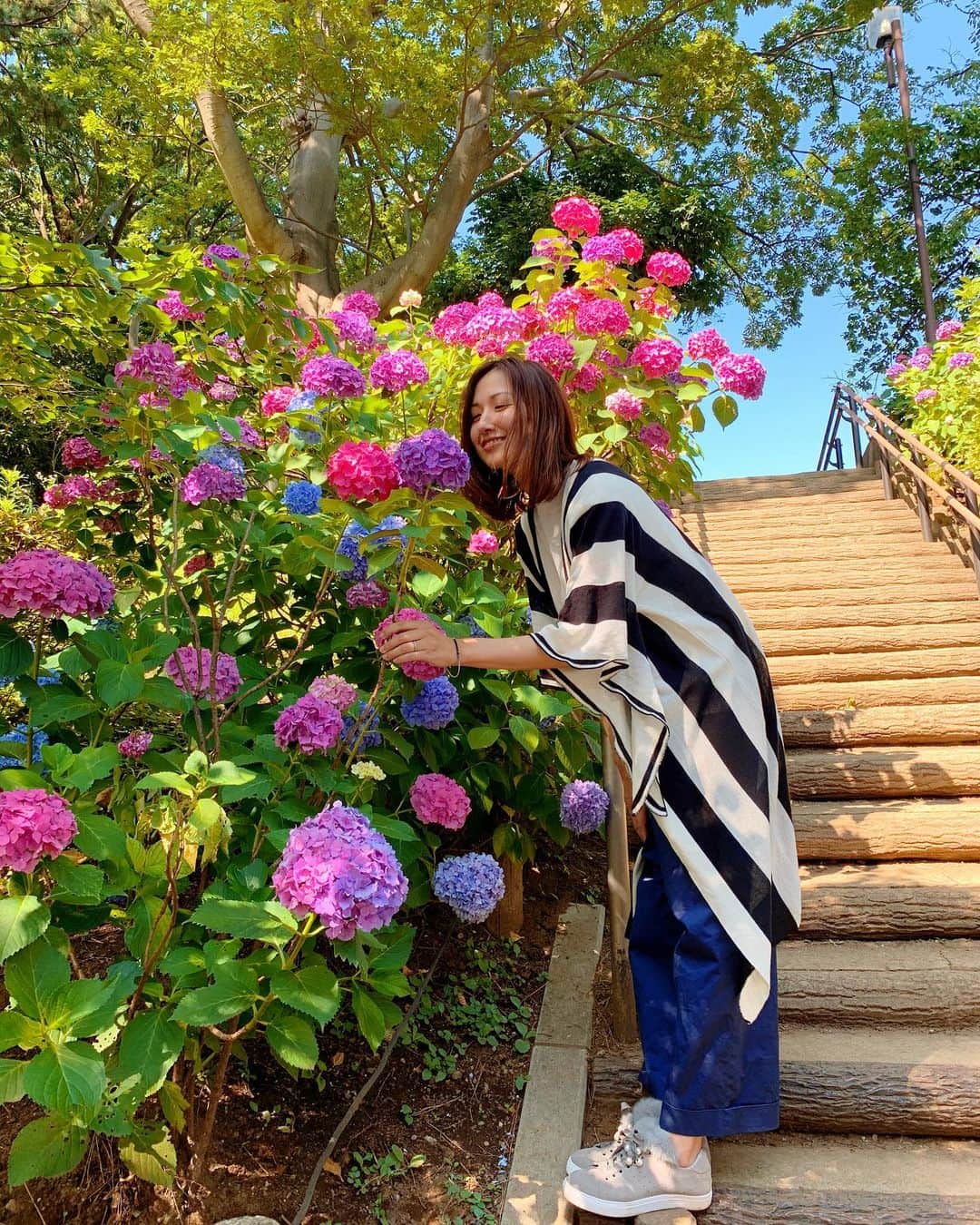 神谷美伽のインスタグラム：「鎌倉にアジサイ見に行こうとしたけど、コロナ的に難しそうだったので都内をお散歩して来ました🐶写真撮り忘れたたけど、等々力渓谷でランチしてから多摩川台公園のアジサイ園へ♡ まだまだ知らないステキな場所が沢山あるんだなぁ。  #お散歩 #紫陽花 #アジサイ園 #多摩川台公園#古墳も沢山ある公園#６月#梅雨とは思えないいい天気 #flowers #お花のある暮らし」