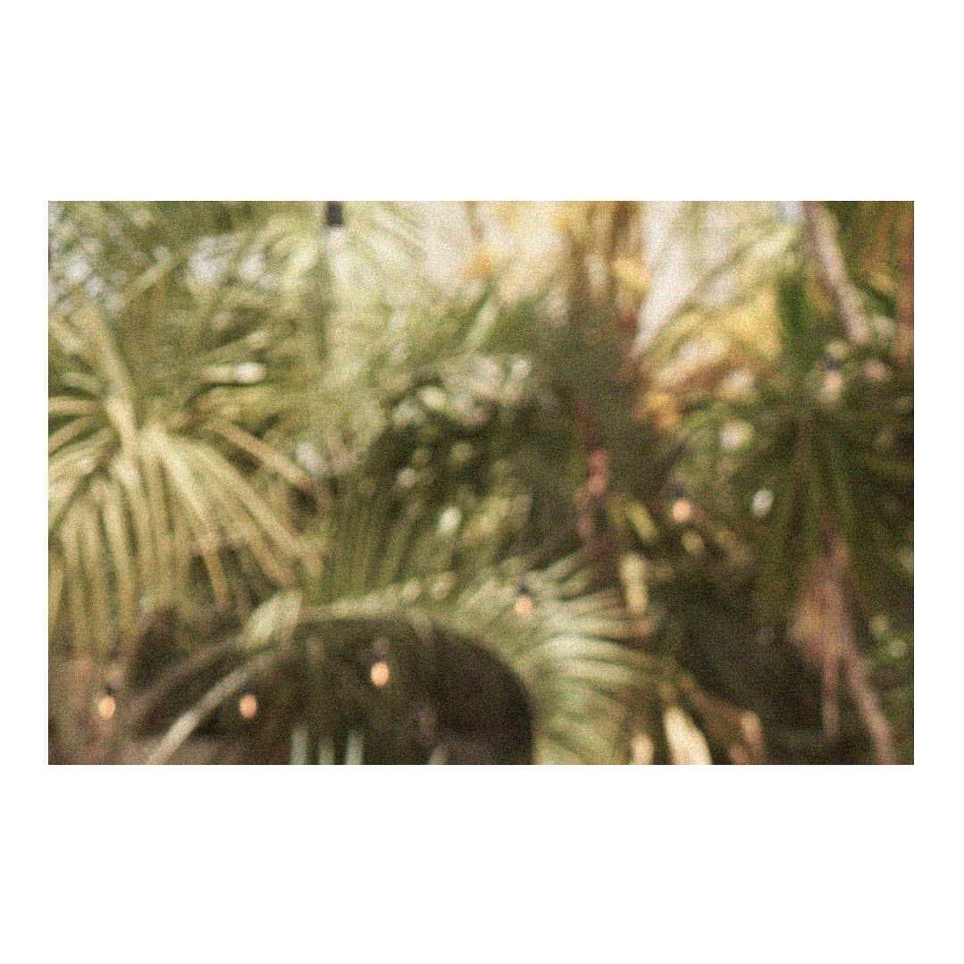 sea_dressさんのインスタグラム写真 - (sea_dressInstagram)「🌴 . 𝟮𝟬𝟮𝟬𝗦/𝗦 𝗡𝗘𝗪 𝗖𝗢𝗟𝗟𝗘𝗖𝗧𝗜𝗢𝗡  𝚜𝚠𝚒𝚖𝚠𝚎𝚊𝚛 𝚟𝚘𝚕.𝟷 𝑬𝑳𝑳𝑰𝑹𝑶𝑺𝑬 . . #seadress_official #2020SS #SEADRESS #シードレス #onlineshop #swimwear #bikini #エリローズ #ellirose #大人水着 #水着 #プチプラ #ファッション通販 #リゾートコーデ #大人水着」6月17日 19時19分 - seadress_official