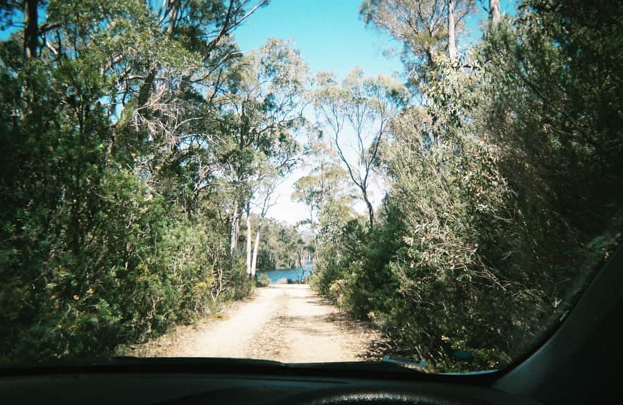 忽那汐里さんのインスタグラム写真 - (忽那汐里Instagram)「-it’s been a while from this but I recently rescanned these so I thought I’d share with you some photos of our trip we did last year- only after booking all of our accommodations scattered all over this massive island do I find out my friend who I’m travelling with didn’t have a driver’s license. this resulted in me driving an average of six hours a day (for four days), watching out carefully so that no wombats or wallabies or any creatures accidentally jumping onto the road were harmed. this was definitely one of the most physically demanding trips I’ve ever done with the most unexpected incidents occurring (we ran out of fuel in the middle of a steep narrow winding road in the mountains with no reception. the day before we had a puncture in our front tire. we also almost missed our flight to sydney.), but it was truly all so very worth it. thank you to all the lovely people who helped us out along the way. we would of never made it without you! and thank you sae for being the most amazing travel buddy! (she kept me company and never ever slept throughout the whole time I was driving🥺) this place is so special. tasmania you are beautiful. till next time! 💚」6月17日 19時36分 - shiolikutsuna