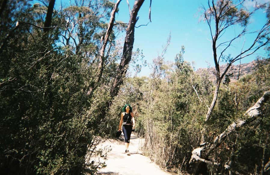 忽那汐里さんのインスタグラム写真 - (忽那汐里Instagram)「-it’s been a while from this but I recently rescanned these so I thought I’d share with you some photos of our trip we did last year- only after booking all of our accommodations scattered all over this massive island do I find out my friend who I’m travelling with didn’t have a driver’s license. this resulted in me driving an average of six hours a day (for four days), watching out carefully so that no wombats or wallabies or any creatures accidentally jumping onto the road were harmed. this was definitely one of the most physically demanding trips I’ve ever done with the most unexpected incidents occurring (we ran out of fuel in the middle of a steep narrow winding road in the mountains with no reception. the day before we had a puncture in our front tire. we also almost missed our flight to sydney.), but it was truly all so very worth it. thank you to all the lovely people who helped us out along the way. we would of never made it without you! and thank you sae for being the most amazing travel buddy! (she kept me company and never ever slept throughout the whole time I was driving🥺) this place is so special. tasmania you are beautiful. till next time! 💚」6月17日 19時36分 - shiolikutsuna