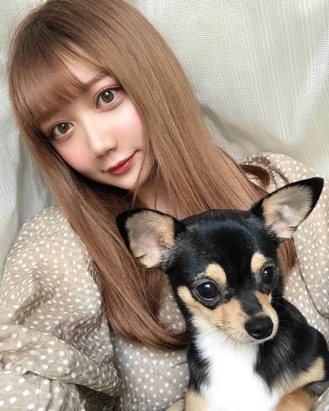 小澤しぇいんさんのインスタグラム写真 - (小澤しぇいんInstagram)「久々にメイク撮ろうと思ったら大人しく膝の上ちょこんしちゃったので諦める🤷🏼‍♀️」6月17日 19時36分 - 1217_shane