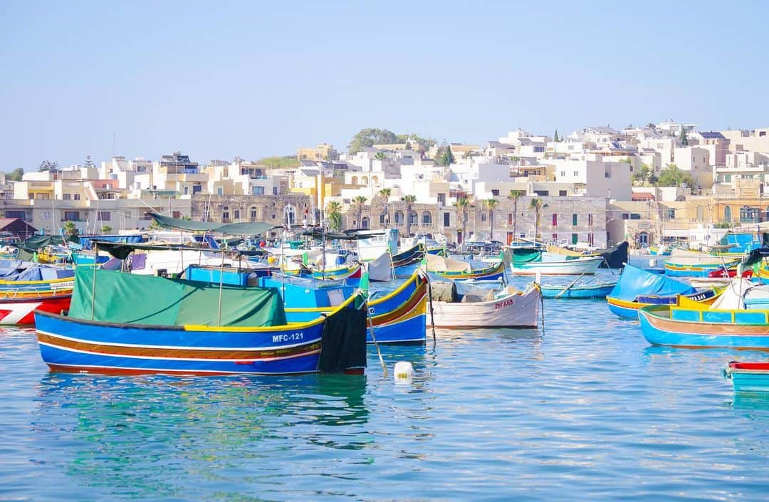 田島知華さんのインスタグラム写真 - (田島知華Instagram)「【Malta🇲🇹Marsaxlokk】 マルタの漁村、マルサシュロックは建物も船もカラフル🎨 ビタミンカラーで溢れていて元気になれる街並みです♪  捕れたばかりの新鮮なシーフードが食べられるのも漁村ならでは。 魚を求めてなのか猫がたくさんいる村でした🐈♡ Copyright © TAJIHARU  PENTAX K-1 MarkⅡ HD PENTAX-D FA 15-30mmF2.8ED SDM WR HD PENTAX-D FA 28-105mmF3.5-5.6ED DC WR _ #たじはるトリップ #TAJIHARU_malta #マルタ #マルサシュロック #女子旅 #旅ガール #トラベルフォトライター #カメラ女子 #malta #marsaxlokk #europe #igerseurope #igersmalta #topeuropephoto #topmaltaphoto #visitmalta #theprettycities #femmetravel #beautifulmatters #wonderful_places #beautifuldestinations #beautifulplace #earthpix #discoverglobe #discoverearth」6月17日 19時37分 - haruka_tajima