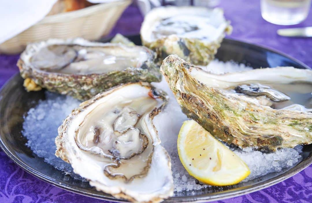 田島知華さんのインスタグラム写真 - (田島知華Instagram)「【Malta🇲🇹Marsaxlokk】 マルタの漁村、マルサシュロックは建物も船もカラフル🎨 ビタミンカラーで溢れていて元気になれる街並みです♪  捕れたばかりの新鮮なシーフードが食べられるのも漁村ならでは。 魚を求めてなのか猫がたくさんいる村でした🐈♡ Copyright © TAJIHARU  PENTAX K-1 MarkⅡ HD PENTAX-D FA 15-30mmF2.8ED SDM WR HD PENTAX-D FA 28-105mmF3.5-5.6ED DC WR _ #たじはるトリップ #TAJIHARU_malta #マルタ #マルサシュロック #女子旅 #旅ガール #トラベルフォトライター #カメラ女子 #malta #marsaxlokk #europe #igerseurope #igersmalta #topeuropephoto #topmaltaphoto #visitmalta #theprettycities #femmetravel #beautifulmatters #wonderful_places #beautifuldestinations #beautifulplace #earthpix #discoverglobe #discoverearth」6月17日 19時37分 - haruka_tajima