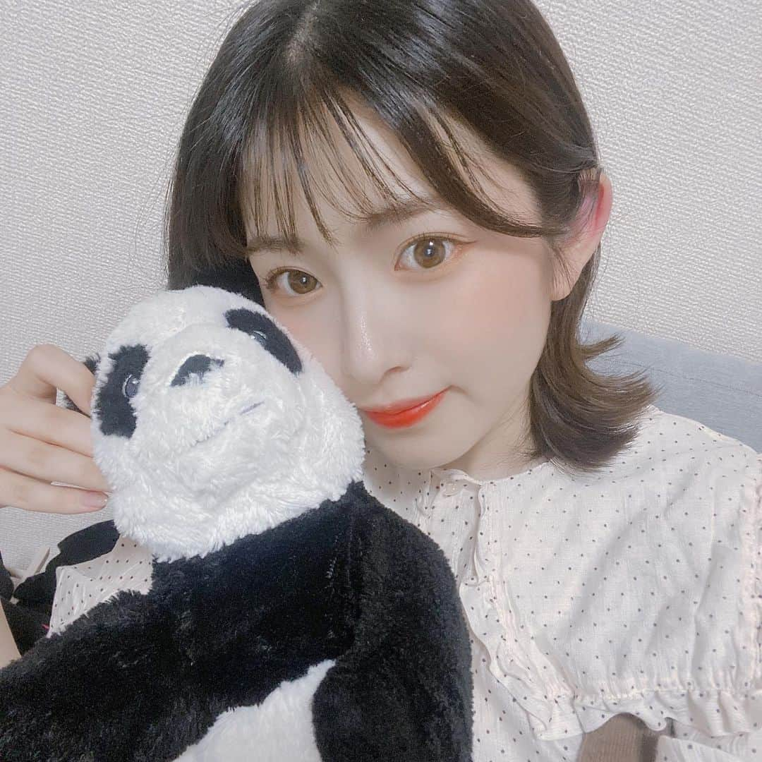 青木菜花さんのインスタグラム写真 - (青木菜花Instagram)「.﻿ .﻿ あおとと撮った🐼笑﻿ ﻿ 眉毛整えてから書きやすくなって楽しい😂😂﻿ 私が通っているサロン、タグ付けしておくね😍﻿ .﻿ . @une_fleur_eyebrow  @une_fleur_eyelash  @une_fleur_yuri  #あおと #ぬいぐるみ #パンダ #眉毛 #眉毛サロン #オレンジメイク #instalike #instagood #l4l」6月17日 20時18分 - nanoka_0711