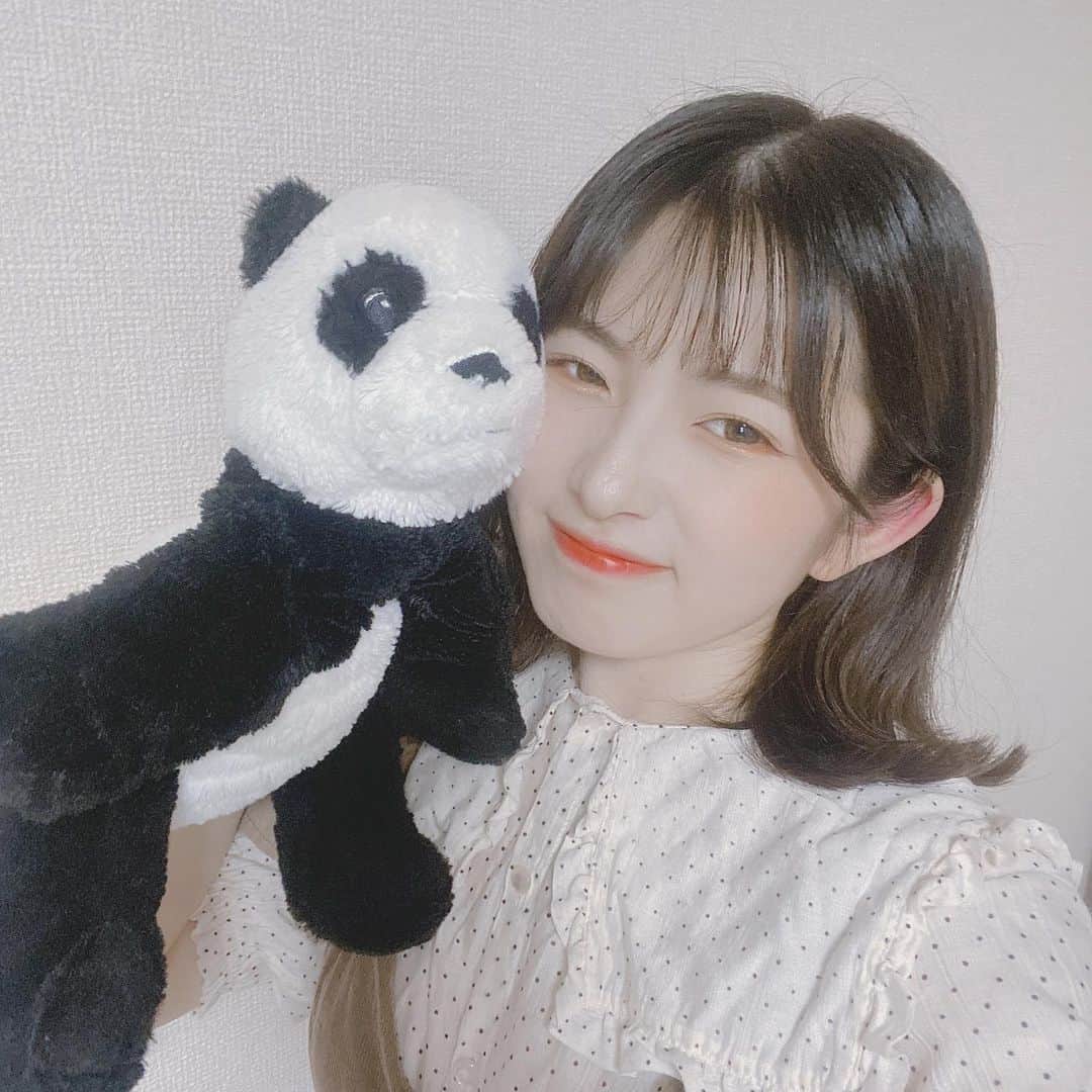 青木菜花のインスタグラム：「.﻿ .﻿ あおとと撮った🐼笑﻿ ﻿ 眉毛整えてから書きやすくなって楽しい😂😂﻿ 私が通っているサロン、タグ付けしておくね😍﻿ .﻿ . @une_fleur_eyebrow  @une_fleur_eyelash  @une_fleur_yuri  #あおと #ぬいぐるみ #パンダ #眉毛 #眉毛サロン #オレンジメイク #instalike #instagood #l4l」