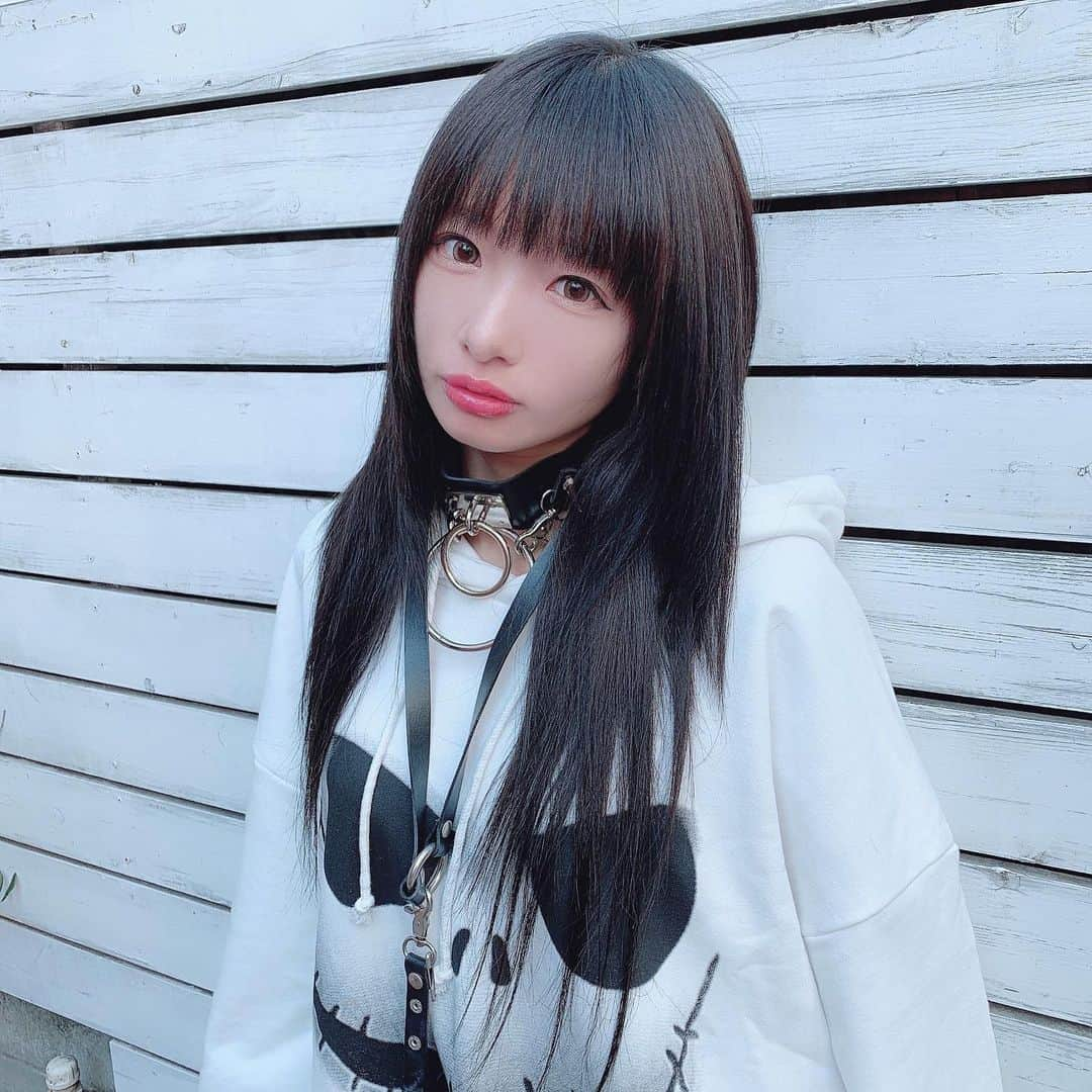 椎名ひかり（ひかりん）さんのインスタグラム写真 - (椎名ひかり（ひかりん）Instagram)「やっと髪染めた〜！ゾ 前髪もいつも通りカッティングねえさんよ✂️ ダークカラー寄りじゃったからあまり気づかれてないけどまじまじと見つめると超絶プリンだったんだよ…  来月赤髪復活するかも  小池さんいつもアリガタキ(｡ >艸<) おべべはジャックだよー💀欲しかった白バージョン‼️貢ぎ物でいただけた// 白と黒両方手に入れた  #ナイトメアービフォアクリスマス  #ナイトメアビフォアクリスマス  #ユニセックス　#ウルフカット」6月17日 20時27分 - pikarin_shiina