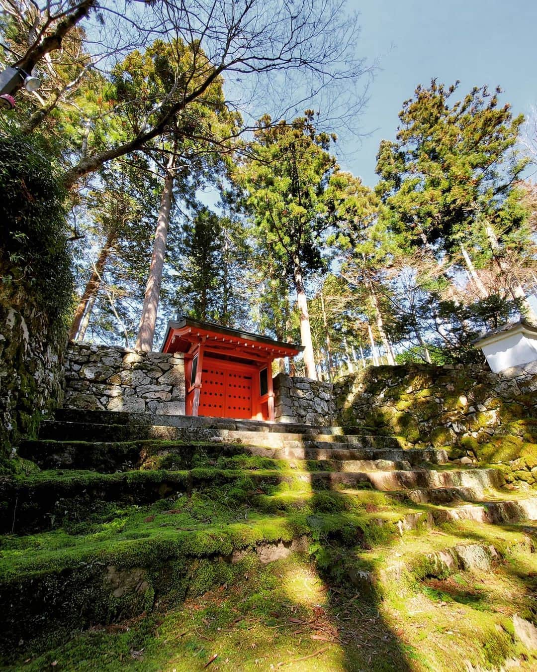 市川笑野のグルメインスタ