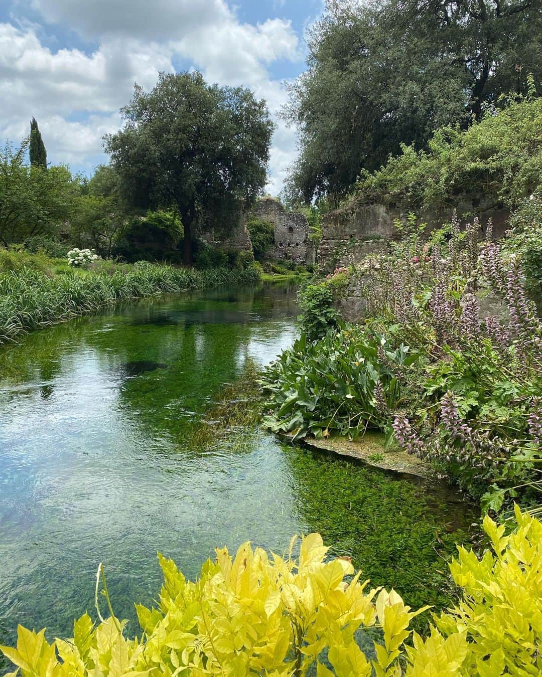 キアラ・フェラーニさんのインスタグラム写真 - (キアラ・フェラーニInstagram)「We visited Giardino di Ninfa this morning (a medieval city transformed in a botanical garden) which is considered the most beautiful garden in the world 🌸」6月17日 20時29分 - chiaraferragni