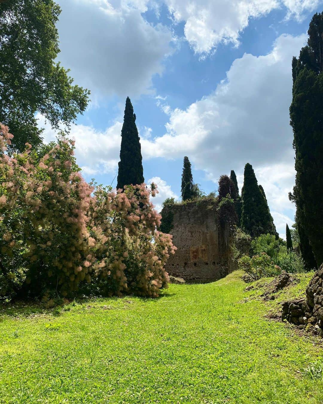キアラ・フェラーニさんのインスタグラム写真 - (キアラ・フェラーニInstagram)「We visited Giardino di Ninfa this morning (a medieval city transformed in a botanical garden) which is considered the most beautiful garden in the world 🌸」6月17日 20時29分 - chiaraferragni