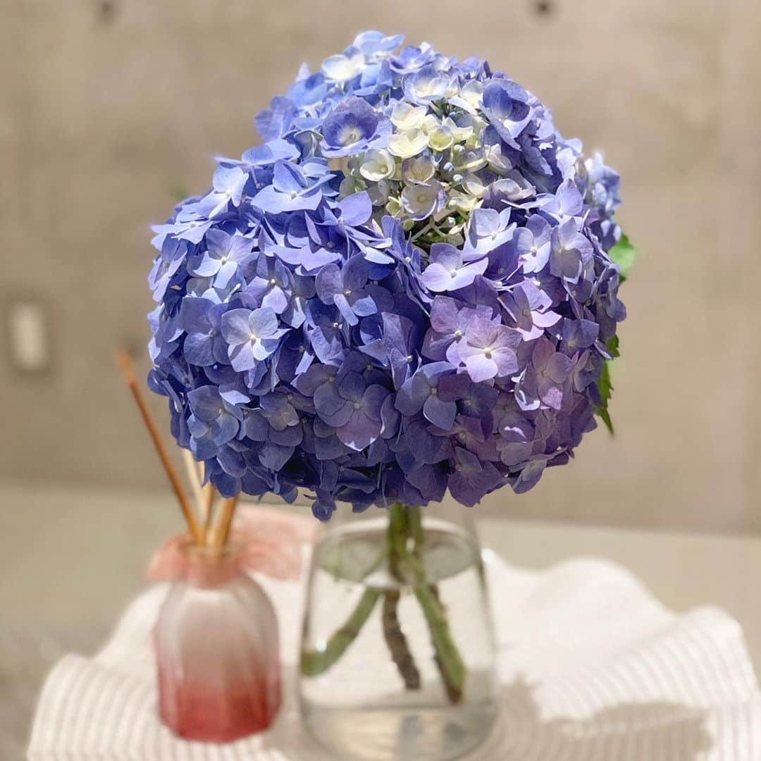 のインスタグラム：「梅雨の時期なので、大好きな紫陽花を買いました💐 お花の中で一番好きです☺︎ 地味に、フラワーアレンジの資格持っております。笑 ３級だから上げたいなぁ💭  #お花　#紫陽花　#flower #あじさい　#梅雨　#お家時間」