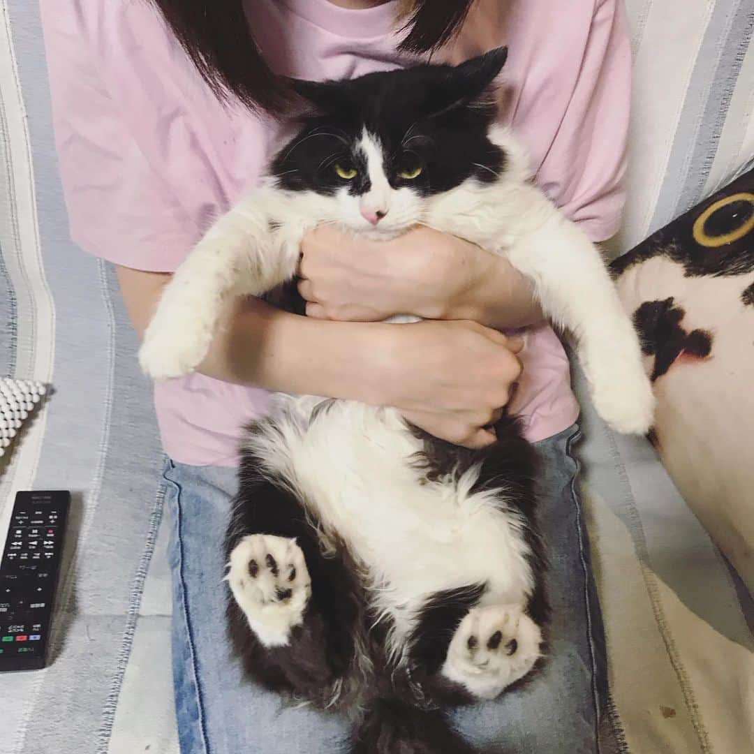 もじゃころのインスタグラム：「バンドゥー教の皆様はこちらをお納めください🙏  #坂東玉隠しシャシャ丸  #あいちゃんの膝の上 #水曜日の悪夢」