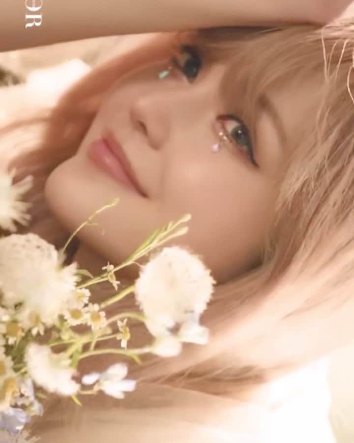Grace Chowのインスタグラム：「🌻🐱👩🏼💐」