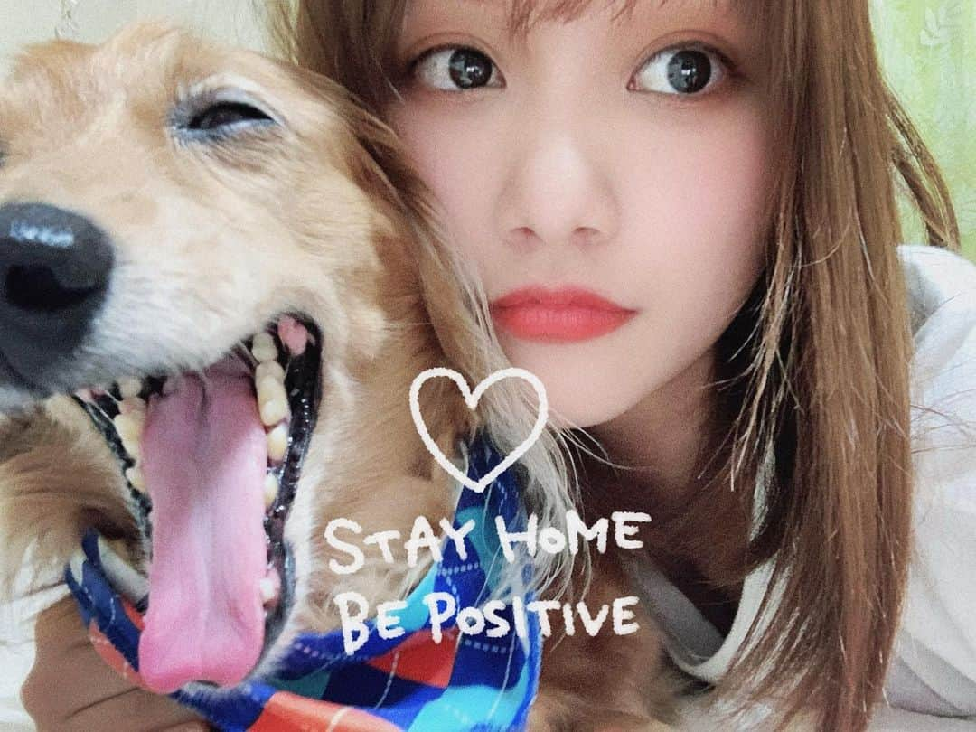 保﨑麗さんのインスタグラム写真 - (保﨑麗Instagram)「仲良し✌︎ ドルちゃん眠そう🐶」6月17日 21時24分 - hozaki_rei