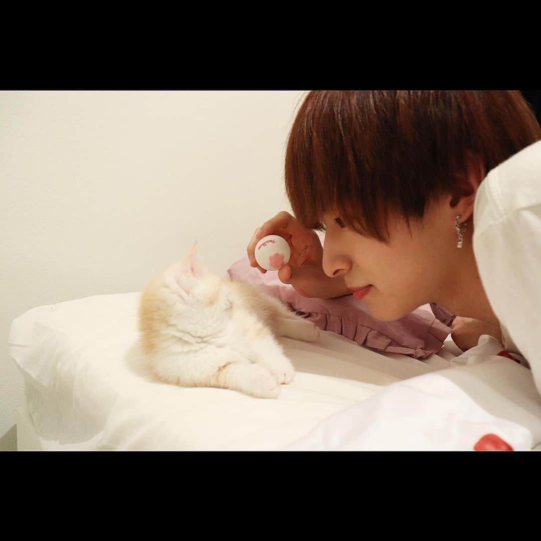 鹿島尚貴のグルメインスタ