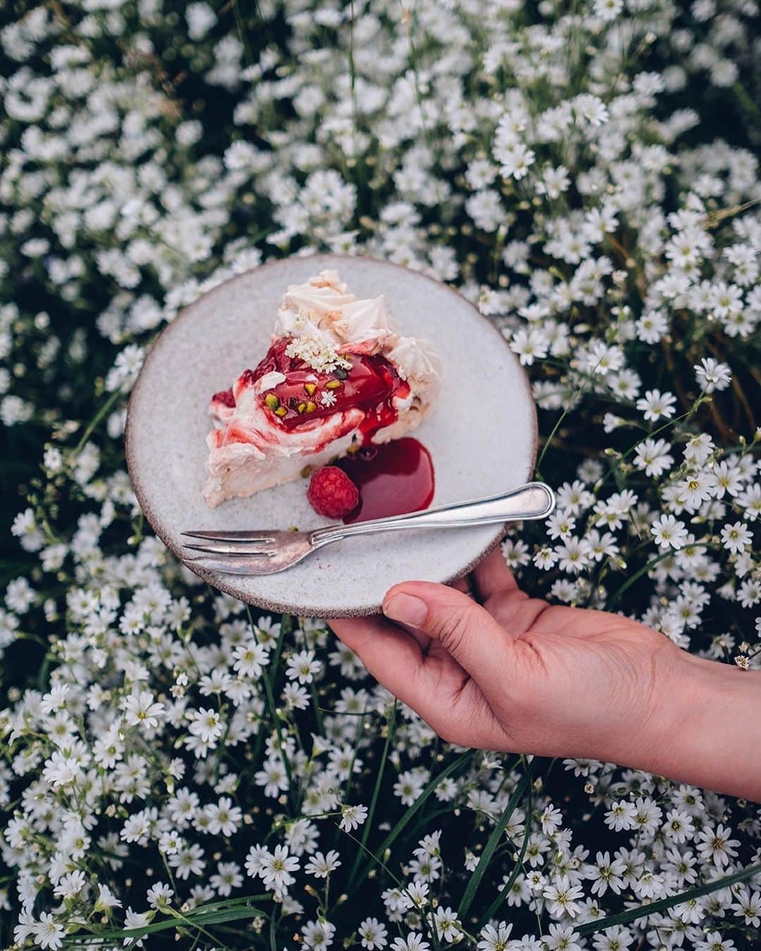 Our Food Storiesさんのインスタグラム写真 - (Our Food StoriesInstagram)「More photos of this delicious pavlova with poached rhubarb 😋 Get the recipe on the blog, link is in profile. #ourfoodstories  ____ #pavlova #glutenfreerecipes #glutenfri #glutenfrei #glutenfreebaking #fellowmag #verilymoment #momentslikethis #bakinglove #cakerecipe #fujixt3 #dessertlovers #foodstylist #foodphotographer #germanfoodblogger #simplejoys」6月17日 21時48分 - _foodstories_