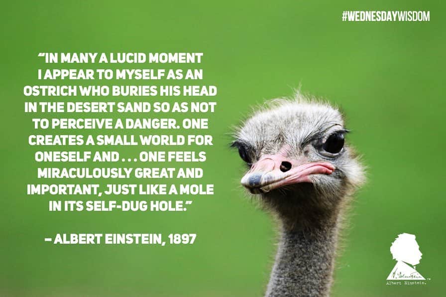 アルベルト・アインシュタインさんのインスタグラム写真 - (アルベルト・アインシュタインInstagram)「#WednesdayWisdom: “In many a lucid moment I appear to myself as an ostrich who buries his head in the desert sand so as not to perceive a danger. One creates a small world for oneself and ... one feels miraculously great and important, just like a mole in its self-dug hole.” – Albert Einstein, 1897」6月17日 22時04分 - alberteinstein