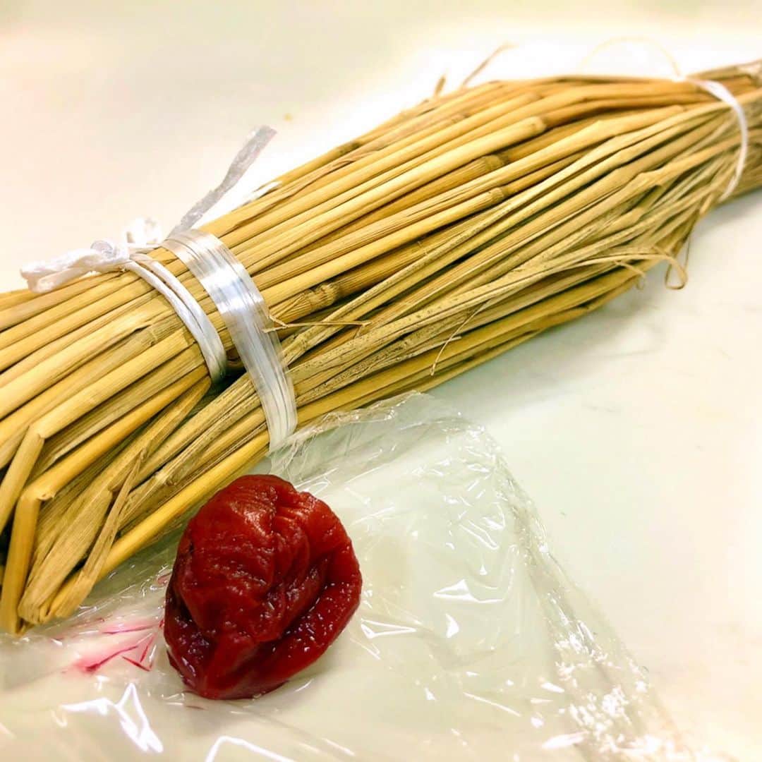 永倉由季さんのインスタグラム写真 - (永倉由季Instagram)「.﻿ .﻿ ﻿ 私が納豆好きなので﻿ ﻿ ﻿ 関東へ帰られていたスタッフさんから﻿ 茨城の水戸納豆を頂きました🎵﻿ ﻿ ﻿ ﻿ 前回のより大きい∑(ﾟДﾟ)﻿ ﻿ ﻿ 関西ではなかなか見られません！﻿ (梅干し比)﻿ ﻿ ﻿ 藁の香りが良く﻿ ﻿ ﻿ 粒が一つひとつ﻿ しっかりしていて﻿ ﻿ ﻿ 大豆そのものも甘くて﻿ 粘り具合も抜群✨﻿ ﻿ ﻿ めちゃくちゃ美味しい😋﻿ ﻿ ﻿ ✅アメブロ更新　↓↓﻿ ﻿ http://ameblo.jp/naga-yuki/﻿ . . . ﻿#茨城県　#水戸グルメ  #水戸納豆 #大きい #藁　#美味しい #ご飯がすすむ  #今日はパタパタ . #メモ #水星逆行　#w逆行 #注意」6月17日 22時10分 - yuki_nagakura67
