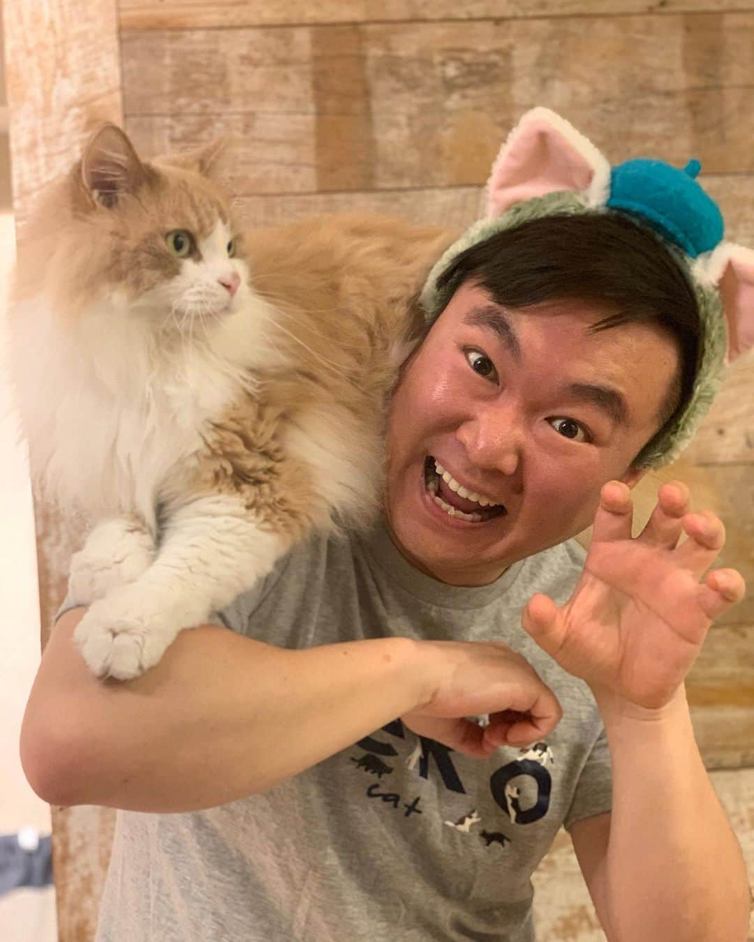 かまいたち山内と、猫たちのインスタグラム：「。 YouTubeで個人チャンネル 『ニャンチューバーねこうちさんの部屋』を開設しましたー🐈  https://www.youtube.com/channel/UCy0yeth18BNy7PEbKYexevQ  是非チャンネル登録お願いしますー🤲  プロフィールにもリンク貼ってますー  #猫 #cat #ニャンチューバー #にゃんすたぐらむ  #ニャンチューバーねこうちさんの部屋  #かまいたち山内」