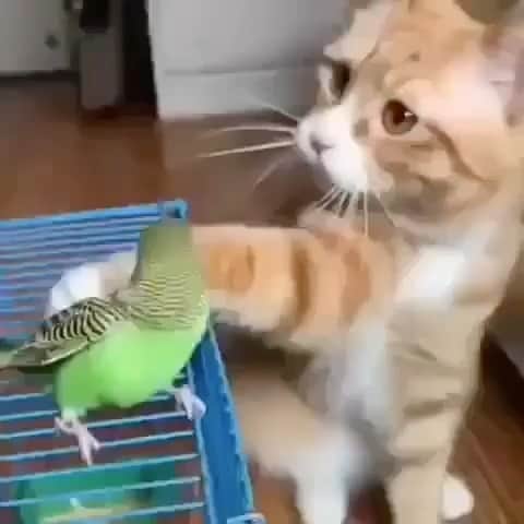 エイミー・セダリスのインスタグラム