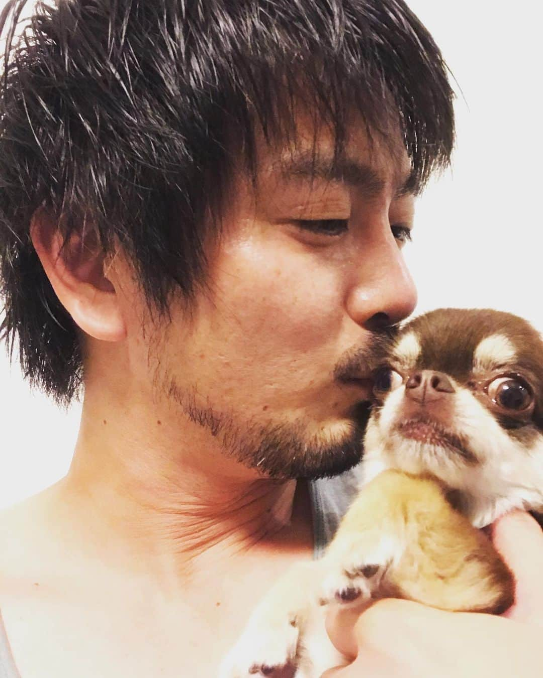 平沼紀久さんのインスタグラム写真 - (平沼紀久Instagram)「ギリギリ間に合った💦  娘よ、誕生日おめでとう🎉🎊 #麦 #三歳　#ロングコートチワワ」6月17日 23時31分 - norihisahiranuma