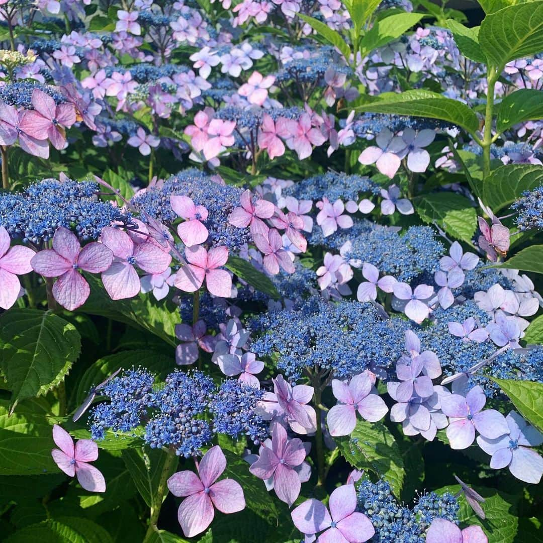 鈴木六夏さんのインスタグラム写真 - (鈴木六夏Instagram)「心配したり不安になったりヤキモキしたり。どうしてあげたらいいのかどうさせたらいいのかとかとか..次の進路を決める節目の年なこともありいつも気がかりで頭グルグルしていたお兄ちゃん。  が今夜、話しをしていたら今までなーんかふわふわ〜っとしてたのに、自分の言葉で意志をハッキリ言うからちょっとビックリしてめちゃくちゃ嬉しかった。どーんな人生でもいいから、自分の意志で歩んでほしい。子ども達に望むことはそれだけだから、なんかほんとに嬉しかった。親として悩む日々も、焦らず見守ろう。そして応援しよう。自分の足で歩きだそうとしはじめた空気を感じることがこんなに嬉しいとは😭✨それと比例して日々子離れの心算をしていかなきゃ..という子育ての矛盾。」6月17日 23時45分 - rikuka.62