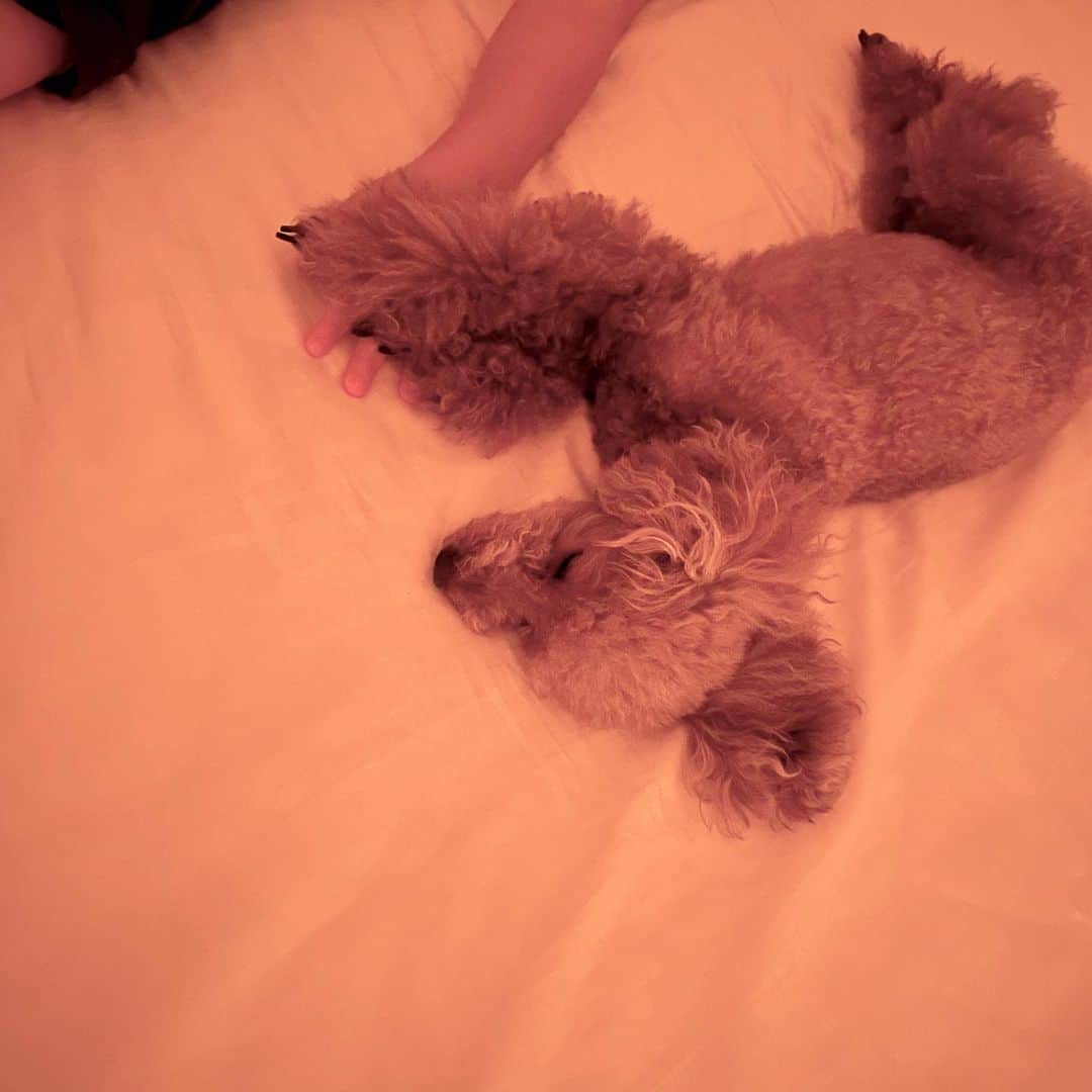 阿部真央のインスタグラム：「BestFriends♡」