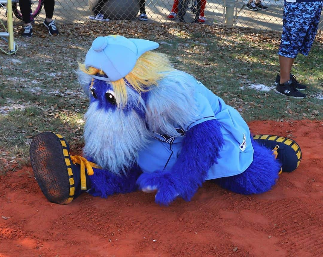 タンパベイ・レイズさんのインスタグラム写真 - (タンパベイ・レイズInstagram)「Someone said it was #NationalMascotDay」6月18日 1時58分 - raysbaseball