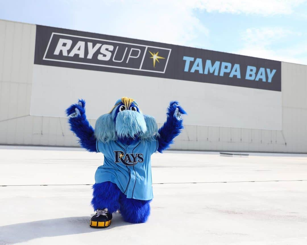 タンパベイ・レイズさんのインスタグラム写真 - (タンパベイ・レイズInstagram)「Someone said it was #NationalMascotDay」6月18日 1時58分 - raysbaseball