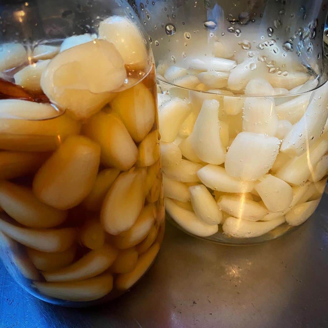 内澤旬子さんのインスタグラム写真 - (内澤旬子Instagram)「ラッキョウ漬けた。甘酢と塩と。」6月18日 13時00分 - riprigandpanic