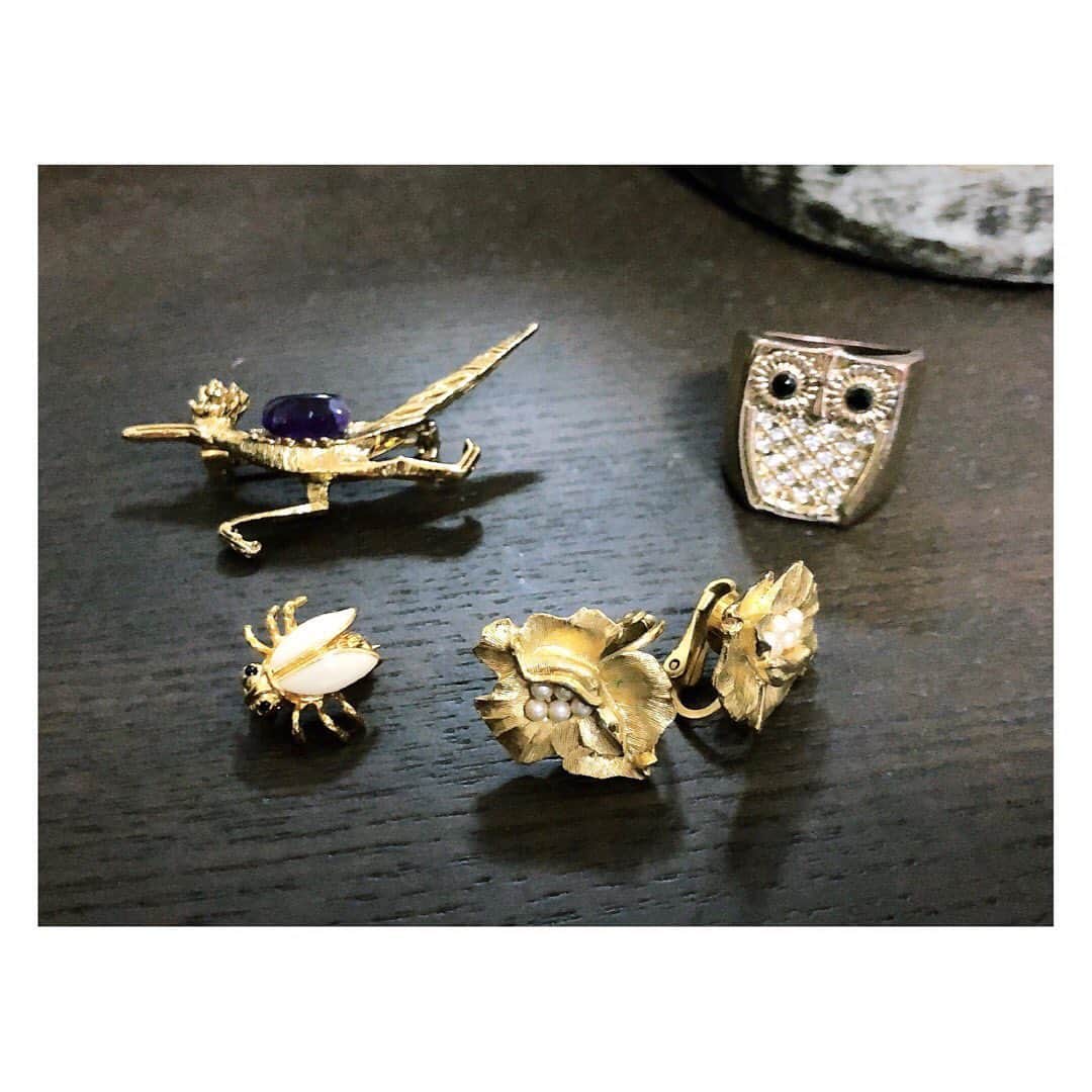 MIHOのインスタグラム：「【ヴィンテージアクセサリー】﻿ ﻿ いつもおしゃれで可愛いスタイリストの　@azusa6361 さんがつけていたバングルに一目惚れ☺︎﻿ ﻿ それどこのー？！って教えてもらったのはサマンサメノウのヴィンテージアクセサリー﻿ ﻿  最近はブローチをつけるようにしているのですが、新発見、ニマニマして楽しい☺︎ ﻿ イギリスやアメリカなどで買い付けてきたアクセサリーは一つ一つが可愛らしくて主張あるデザイン﻿ ﻿ ﻿ 私はたくさんのテイストの中から生き物や植物モチーフがドンズバでした﻿ ﻿ ﻿ check→ @meno_acc ﻿ ﻿ ﻿ あぁ、やっぱり私はこーいうのが好きなんだなぁ、と、再確認﻿ ﻿ ﻿ 高いからいい、安いからいいではなく、自分が好きな物、長く連れ添えるもの以外はいらないのは昔も今も変わらずですが、このサマンサメノウのアクセサリーは断捨離しても残った世界中で買った私のジュエリーと同じで温もりがちゃんとある﻿ ﻿ ﻿ 今日の夜に新作がアップされるそうで、ツバメのブローチもありましたよ☺︎﻿ ﻿ ﻿ お手頃であったかみのあるかわいいをお探しの方はきっとみつかるハズ﻿ ﻿ ﻿ ﻿ 今日も良い一日を﻿ ﻿ ﻿ #みほのお気に入り ﻿ #ブローチ﻿ #イヤリング﻿ #リング﻿ #ふくろう﻿ #鳥﻿ #ハエ﻿ #花﻿ #植物モチーフ﻿ #動物モチーフ﻿ #ヴィンテージアクセサリー ﻿ #お手頃価格  #コーディネート﻿ #ブローチ楽しい﻿ #アクセサリー﻿ #ブローチ  #サマンサメノウ﻿ #みほのリピートもの ﻿ #モデル﻿ #みほ﻿ #ライフスタイル﻿ #ラッキーチャーム﻿」