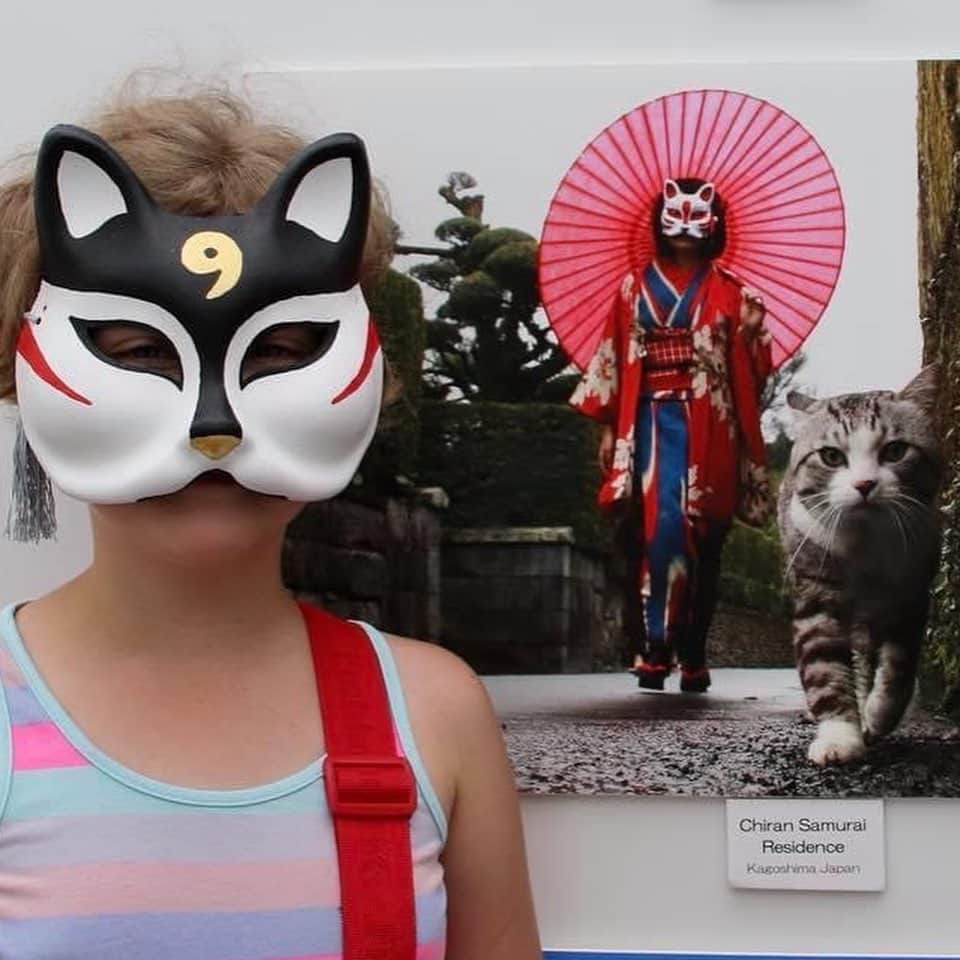 Nyankichi Noranekoさんのインスタグラム写真 - (Nyankichi NoranekoInstagram)「ちょうど２年前は、ポーランド🇵🇱の首都ワルシャワの日本祭りで「旅猫ニャン吉写真展inポーランド」が開催されてたにゃり😸」6月18日 12時37分 - noraneko_nyankichi