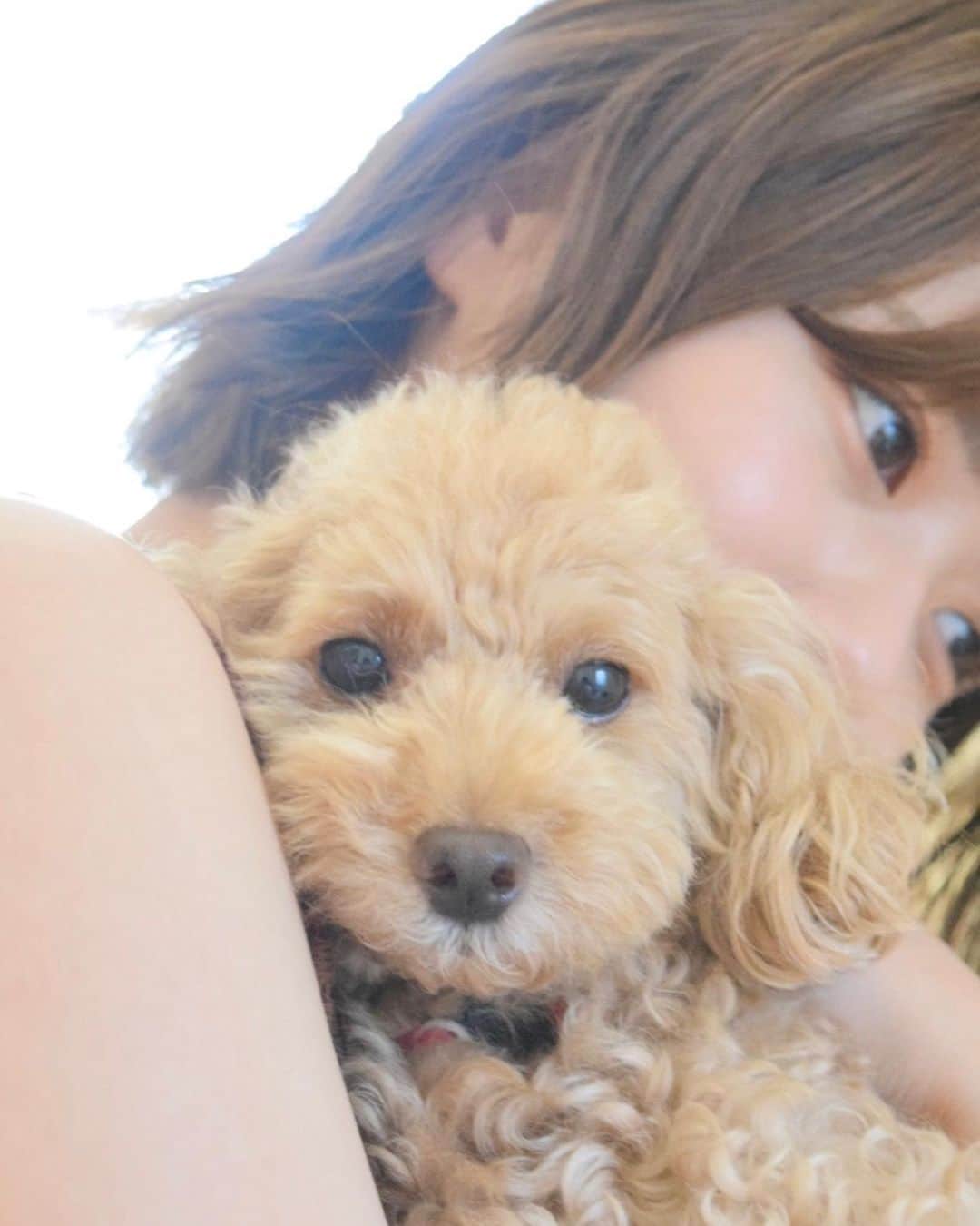 清水麻璃亜のインスタグラム：「ぽんず😚😚😚」