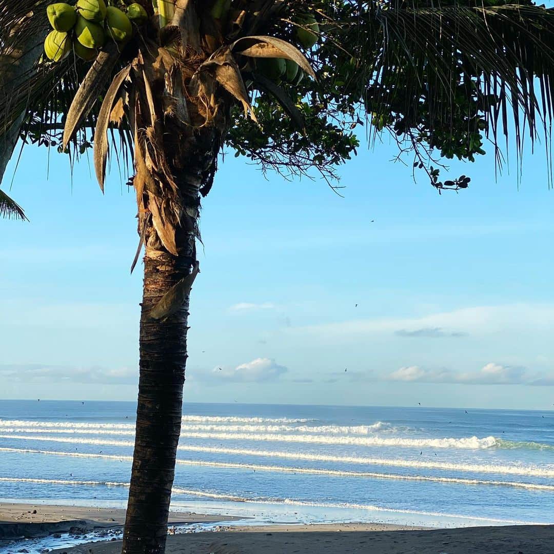 Isseki Nagaeさんのインスタグラム写真 - (Isseki NagaeInstagram)「Good morning Balian  #surftrip #surfing #surfinglife #beach #bali #balian  今年の冬には行けるだろうか」6月18日 5時34分 - isseki_nagae