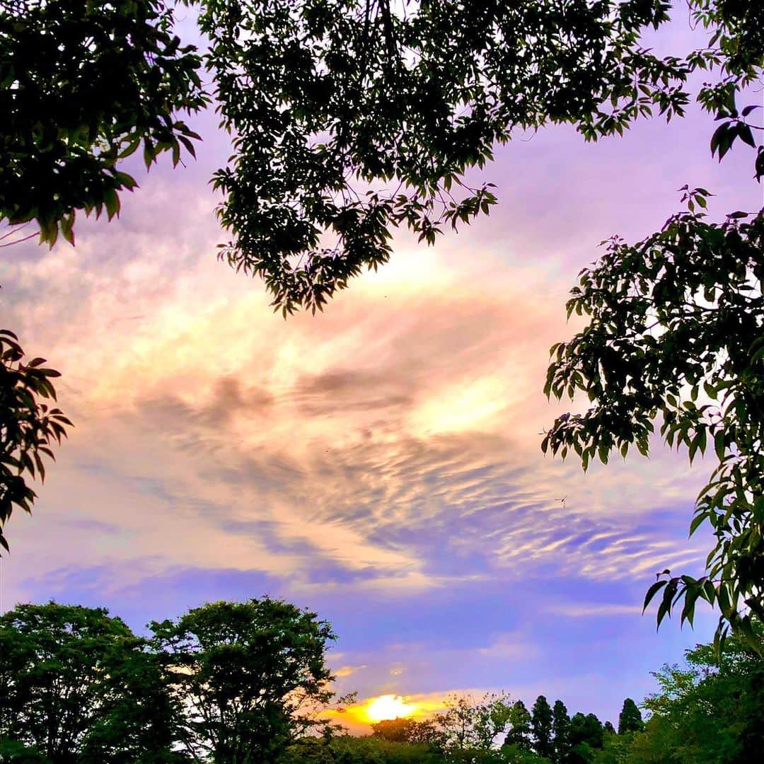 みんなのニュース「上を向いて歩こう」さんのインスタグラム写真 - (みんなのニュース「上を向いて歩こう」Instagram)「『緑のフレーム』 おはようございます😊  雲が多い朝でしたが、たまに覗かせる朝日にほっこり♪  #いつも同じ道いつも違う空 #上を向いて  #日の出  #おはよう朝日です  #朝焼け #朝焼けの空 #空が好きな人と繋がりたい  #雲が好きな人と繋がりたい #朝焼けが好きな人と繋がりたい  #朝日  #朝陽 #空が綺麗  #トワイライト #空のアート #朝の空 #twilight #skyart」6月18日 5時30分 - uewo_muite