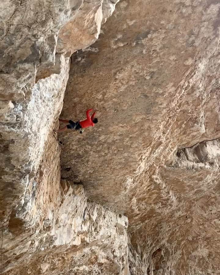 アレックス・オノルドのインスタグラム：「I’ve been posting a lot about social and environmental issues, but don’t worry, I’ve been climbing just as much as ever. This video comes from earlier in the spring while I was working a route called 7-10 Split (5.14a/b or 8b+/c) - definitely my anti-style to campus out a roof.  If there’s one thing I’ve learned from climbing over the years it that to improve in any way you have to get outside your comfort zone. For me that normally means climbing new styles or trying intimidating routes but sometimes getting outside of my comfort zone means having hard conversations or thinking about things that I would rather ignore.  So for everyone who’s been defensively spouting hate in my comments for the last few weeks - maybe you should embrace discomfort as an opportunity for growth... Just a random thought... I’ll keep posting random climbing pics from this season with various musings... thanks @sannimccandless for the video.」