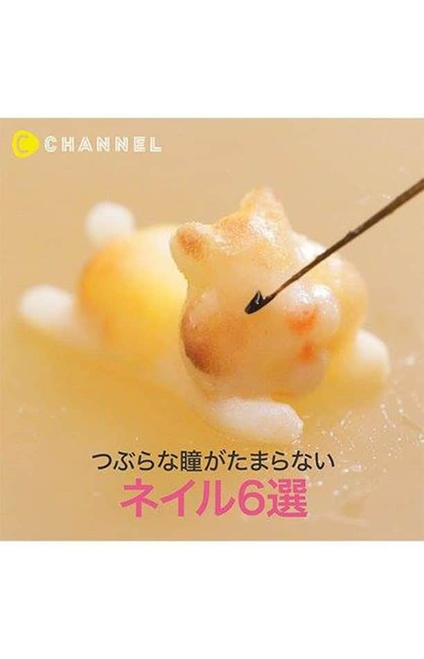 C CHANNELのインスタグラム