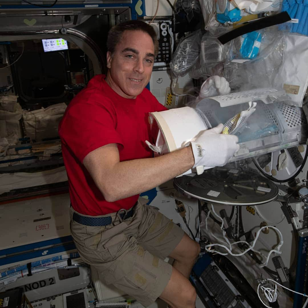 国際宇宙ステーションさんのインスタグラム写真 - (国際宇宙ステーションInstagram)「The space station Commander Chris Cassidy works on science hardware. (Pic 1) Cassidy stows biological samples for preservation in a science freezer. (Pic 2) Cassidy configures the new Spectrum imager that views plant cellular growth in multiple wavelengths.  #nasa #astronaut #science #hardware #biology #plant #International #space #station」6月18日 7時19分 - iss