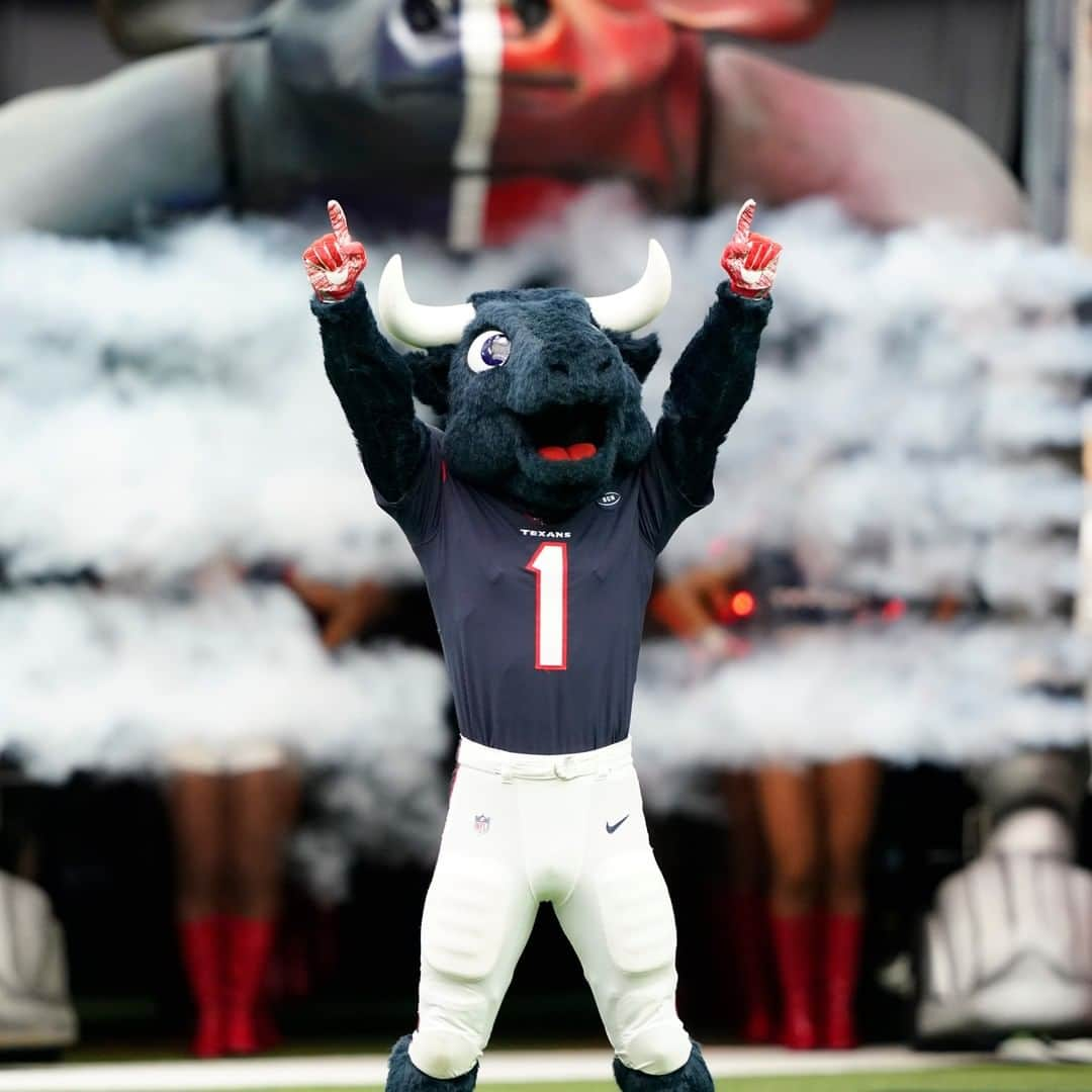 ヒューストン・テキサンズさんのインスタグラム写真 - (ヒューストン・テキサンズInstagram)「A few of our favorite pics from our favorite mascot, @texanstoro1! #NationalMascotDay」6月18日 7時58分 - houstontexans