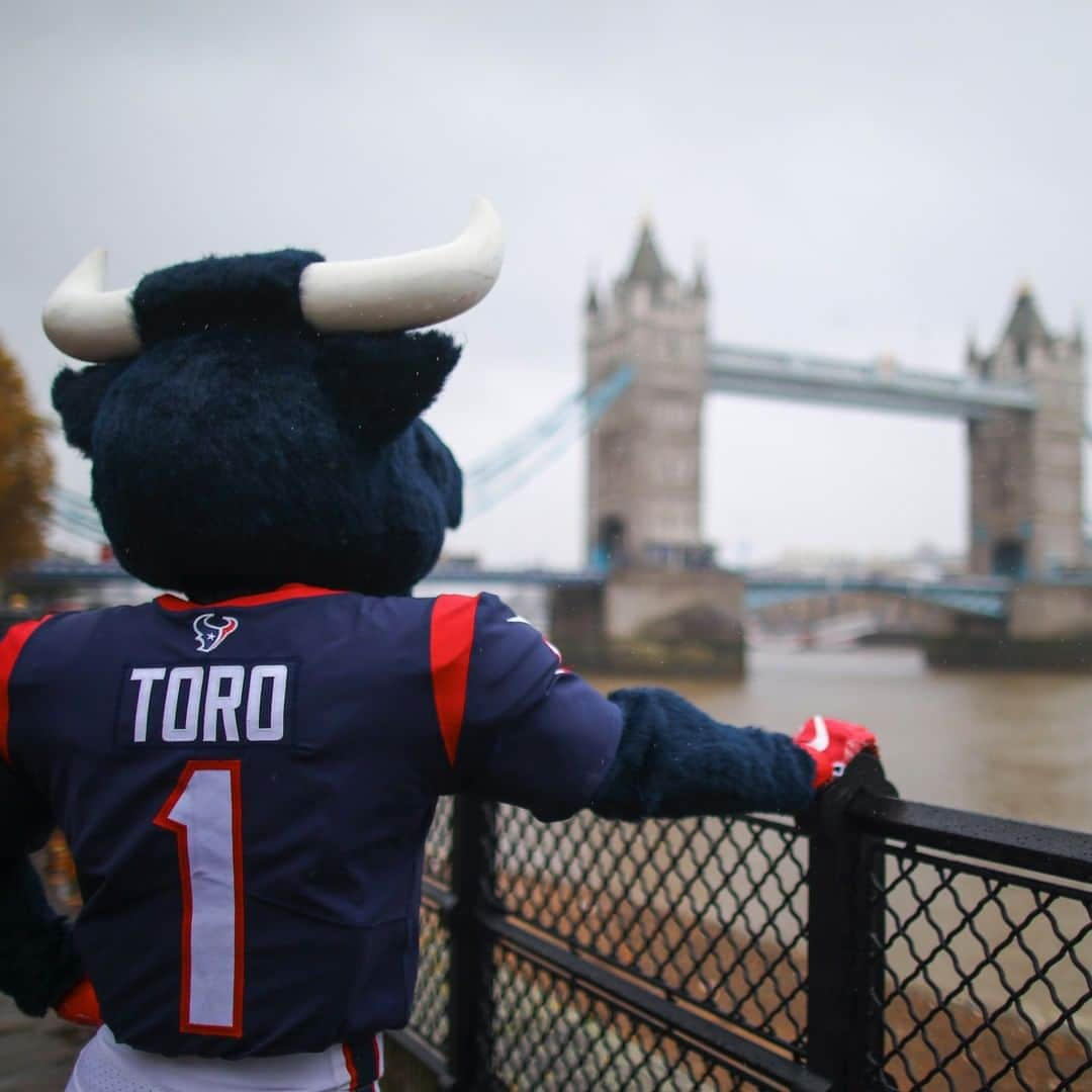 ヒューストン・テキサンズさんのインスタグラム写真 - (ヒューストン・テキサンズInstagram)「A few of our favorite pics from our favorite mascot, @texanstoro1! #NationalMascotDay」6月18日 7時58分 - houstontexans