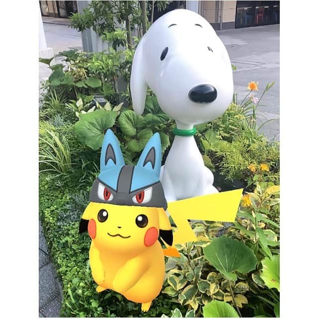 睦のインスタグラム：「奇跡のコラボっ😍  #ポケットモンスター　 #pocketmonsters  #ポケモン  #ポケモンゴー  #ポケモンgo  #pokemon  #pokemongo  #ポケモンゴー散歩　 #ポケモンgo散歩　 #nintendo  #pikachu  #ピカチュー  #相棒  #パートナー　 #partner  #nintendo  #snoopy  #スヌーピー　 #スヌーピーミュージアム  #snoopymuseum  #名探偵ピカチュウ  #PokémonDetectivePikachu  #ピカチュウ  #ssw  #singersongwriter  #artist  #lyricist  #singer  #井上睦都実 #睦」