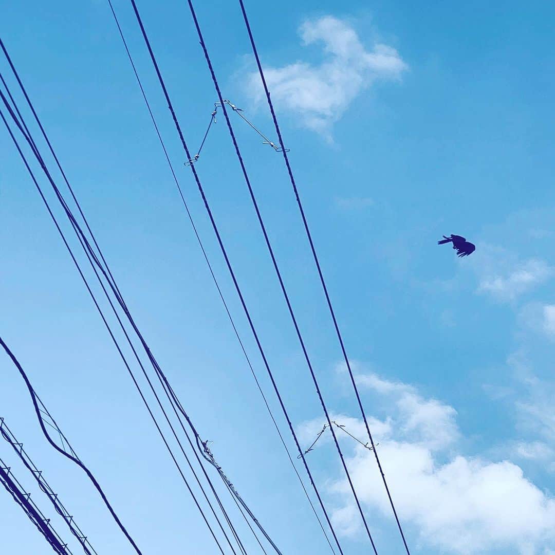 中野敬久さんのインスタグラム写真 - (中野敬久Instagram)「#sky #lines #crow #flying #clouds #blue #sunny #hope」6月18日 9時34分 - hirohisanakano