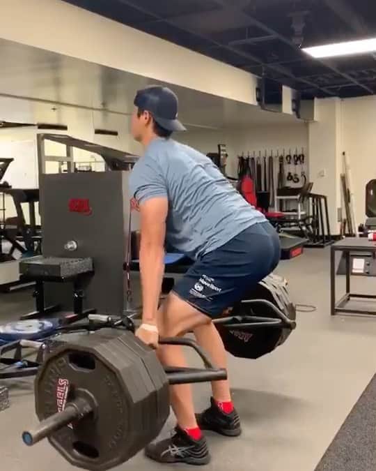 のインスタグラム：「495lbs」