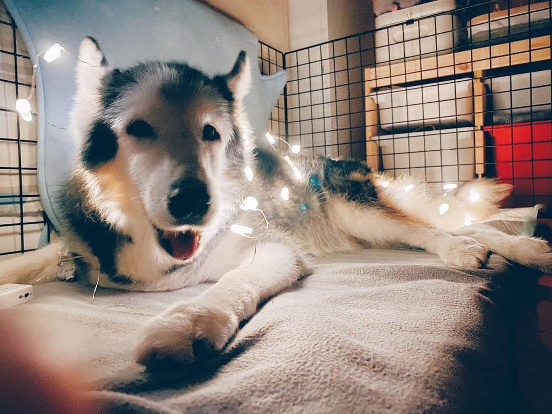 r_oseのインスタグラム：「I miss you... 🖤🐺🌈☁️〰️」