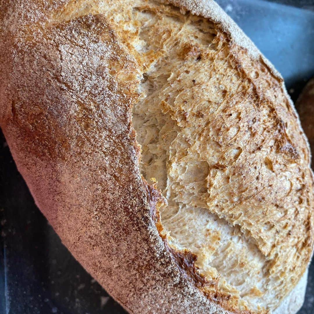 魔女菅原のグルメインスタ