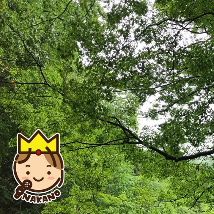 中野耕史のインスタグラム：「思春期に午前中ずっと眠い理由は？  中年期から老年期は睡眠の質が下がる？  良い睡眠を得るために僕たちが出来る事。  気になる方は是非お聴き頂きたいです😊  https://youtu.be/0vH3IOYUwHk」