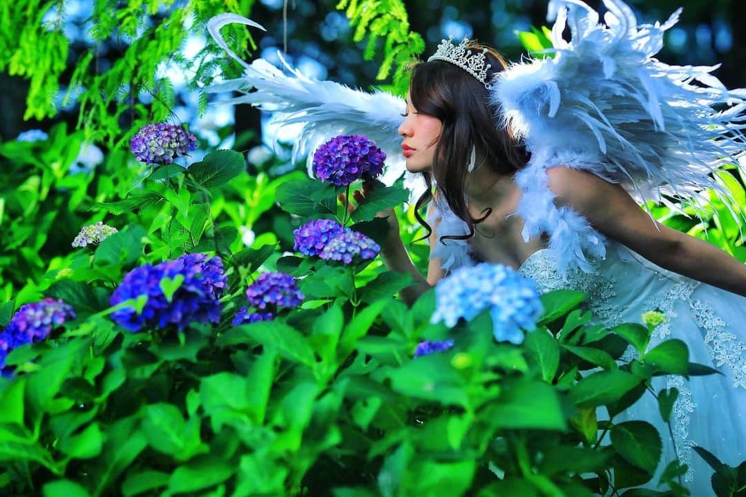 舘林佳史のインスタグラム：「あいり姫👸と紫陽花撮影☺✨️﻿ ﻿ インスタ映え間違い無いですね🥰﻿ ﻿ あいりちゃんAilinQで個撮依頼可能です🥰✨ ﻿ ﻿ @ailinq_studio ﻿ ﻿ ༚┈❁┈༚༝༝༚┈❁┈༚༝༝༚┈❁┈༚༝༝༚┈❁┈ ༚༝༝༚┈❁┈﻿ ﻿ 誰でも物語の主人公になれる﻿ ﻿ をキャッチコピーにドラマや映画﻿ 物語のワンシーンの様なDramaticStoryPhot﻿ と言う名前で活動作品作りをしています。﻿ ﻿ 大好評のドラマティックフォトのご依頼は﻿ このクオリティーで30000円〜(ほぼ諸経費)﻿ で受け賜わっています)^o^( ﻿ ﻿ 素敵な作品を一緒に作りたい！﻿ コラボレーションしたい 美容師・メイクアップアーティストさん ・服飾デザイナーさんクリエイターさんも随時募集中です✨﻿ ﻿ お姫様になりたい👸物語の主人公になってみませんか^ ^⁉︎﻿ ﻿ たった一枚の写真で人生が変わる‼️﻿ ﻿ ✨作品作り体験モデルに興味がある方 ドラマティックフォト依頼 撮影依頼 体験モデル募集①お名前②地域③年齢④身長⑤LINE ID⑥応募理由やお問い合わせ内容⑦最近の髪型スタイルの分かる写真をDM下さい✨📩﻿ ﻿ モデル宣材撮影 コンポジ Book作り プロフィール撮影 ブライダルフォト記念撮影 衣装レンタル 成人式 着物 ドレスロケーションフォト スチール サロンモデル撮影 写真集等撮影のご依頼何でもお気軽にお問い合わせDM下さい✨📩 ﻿ ﻿ ༚┈❁┈༚༝༝༚┈❁┈༚༝༝༚┈❁┈༚༝༝༚┈❁┈ ༚༝༝༚┈❁┈ ﻿ ﻿ 【掲載モデル個撮紹介】﻿ ﻿ 掲載モデルを撮ってみたいと思った事はありませんか^ ^⁉️﻿ ﻿ 掲載モデルさんをAilinQにてご紹介出来るようになりました❣️﻿ ﻿ 個撮紹介﻿ @AilinQ﻿ ﻿ ✅ポートレート撮影をやってみたいけどモデルモデルが見つからない。﻿ ✅モデルと一対一でポートレート撮影したい。﻿ ✅撮影会だと撮りたい構図の写真が撮れない。﻿ ✅モデル2人でツイン撮影したい。﻿ ✅友達のカメラマンと一緒にモデルを撮りたい。﻿ ✅モデルとメイクさんを呼んで作品作りをしたい。﻿ ✅スタジオで個撮したい。﻿ ✅海や山で撮影したい。﻿ ✅水着撮影したい。﻿ ✅仕事帰りに撮影したい。﻿ ✅夜景やネオンで撮りたい。﻿ ✅フォトコンにチャレンジしたい。﻿ ✅美容院スタイリストの作品作りコンテストモデル探しや撮影をしたい。カメラマンも探している。﻿ ✅プロのフォトグラファーを 目指している。﻿ ✅プロのカメラマンと同行してもらって勉強したい。﻿ ✅自分の都合の良い日や時間に合わせて撮影がしたい。﻿ ﻿ ༚┈❁┈༚༝༝༚┈❁┈༚༝༝༚┈❁┈༚༝༝༚┈❁┈ ༚༝༝༚┈❁┈﻿ ﻿ 【掲載モデルの個人撮影依頼】﻿ ﻿ お問い合わせは以下の内容を記入しDM 📩﻿ 又はLINE下さい ID510661(舘林佳史)﻿ ﻿ お取り次ぎ致します❣️﻿ ﻿ 件名《個撮モデルお問い合わせ》﻿ ⚫︎氏名:﻿ ⚫︎年齢:﻿ ⚫︎連絡先:﻿ ⚫︎メールアドレス:﻿ ⚫︎カメラ歴: 年﻿ ⚫︎希望モデル名:﻿ ⚫︎希望日:﻿ ⚫︎希望時間:﻿ ⚫︎希望集合場所:  駅や施設名﻿ ⚫︎希望撮影地: 湘南  鎌倉 横浜 ○○公園 等﻿ ⚫︎移動手段: 徒歩  車﻿ ⚫︎希望衣装: ドレス・ロングスカート・ミニスカート・ワンピース・普段着・カジュアル・ショーパン・お任せ・着物・その他﻿ ⚫︎衣装(モデルさんに持って来て欲しい・自分で用意したい)﻿ ﻿ ﻿ ༚┈❁┈༚༝༝༚┈❁┈༚༝༝༚┈❁┈༚༝༝༚┈❁┈ ༚༝༝༚┈❁┈ ﻿ ﻿ ◆撮影料金﻿ ﻿ 基本撮影時間:3時間(休憩時間移動込み)﻿ 15000円﻿ ⚫︎延長:1時間ごとに5000円﻿ ﻿ ༚┈❁┈༚༝༝༚┈❁┈༚༝༝༚┈❁┈༚༝༝༚┈❁┈ ༚༝༝༚┈❁┈ . ．﻿ #静岡﻿ #紫陽花撮影﻿ #天使の羽﻿ #天使 #観光#プリンセス#ドラマティックストーリーフォト#インスタ映え#作品作り #撮影依頼#シューティング#撮影依頼募集中 #ファインダー越しの私の世界 #写真を撮るのが好きな人と繋がりたい  #ストロビスト#ポートレート#ポートレートモデル#モデル募集#被写体#ロケーションフォト#カメラマン#フォトグラファー##excellent_portraits #photographer#ig_bless_women#東京カメラ」
