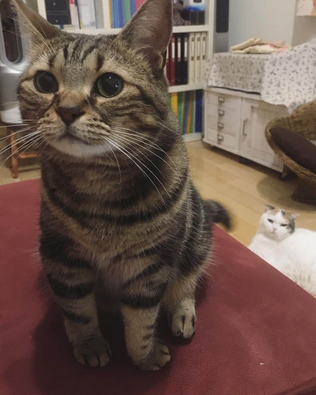 ありす & まりあのインスタグラム：「kawaiiiiiiii 😍」
