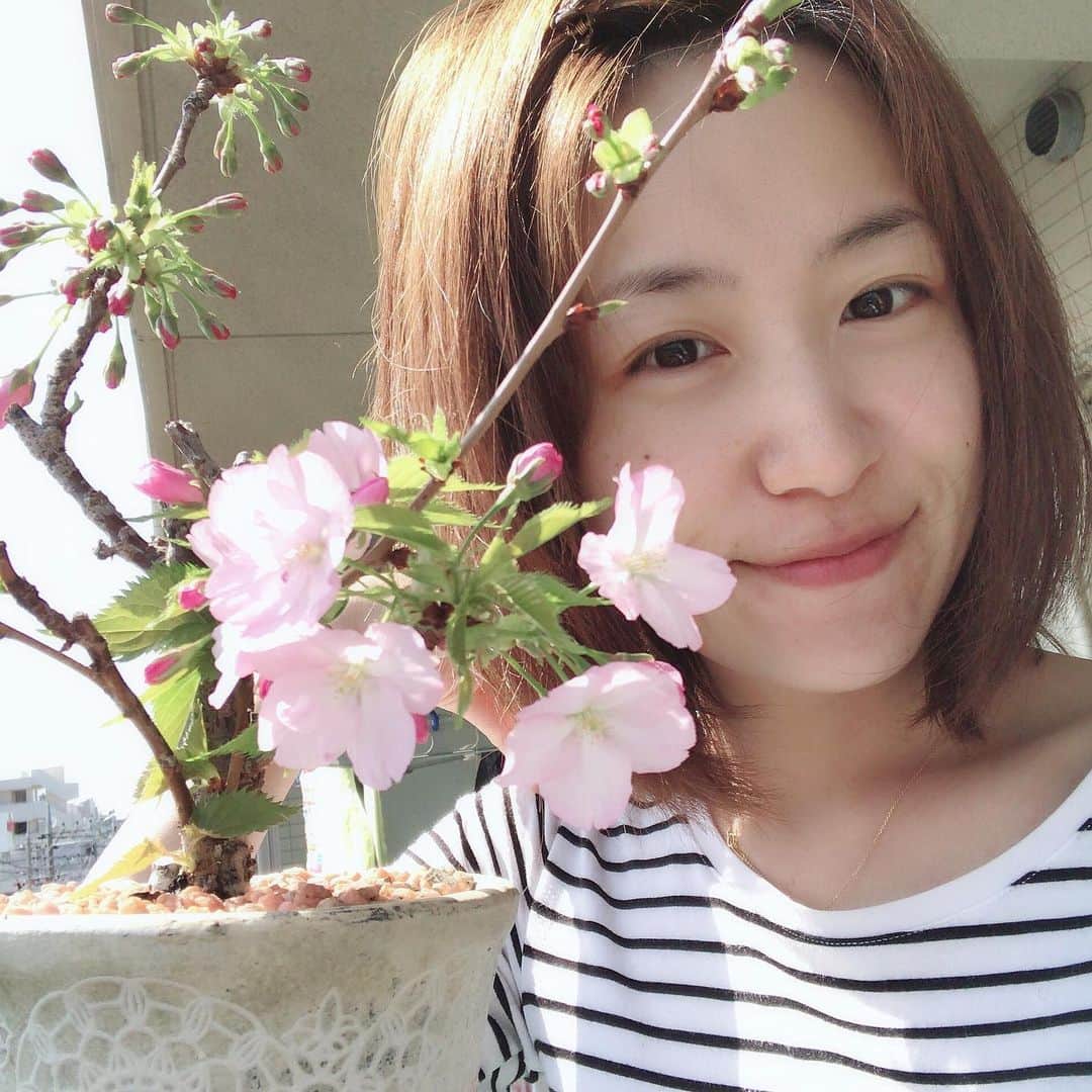 のインスタグラム：「2年前。前髪を伸ばした時期もありました꙳★*ﾟ子供のおかげでブランコや滑り台をいっぱいやらせていただきましたw #田中いちえ#2018#子育てほんと大変」